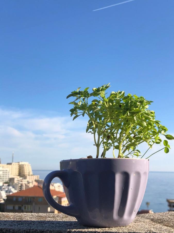 Studio Apartmani Lemon Budva Dış mekan fotoğraf