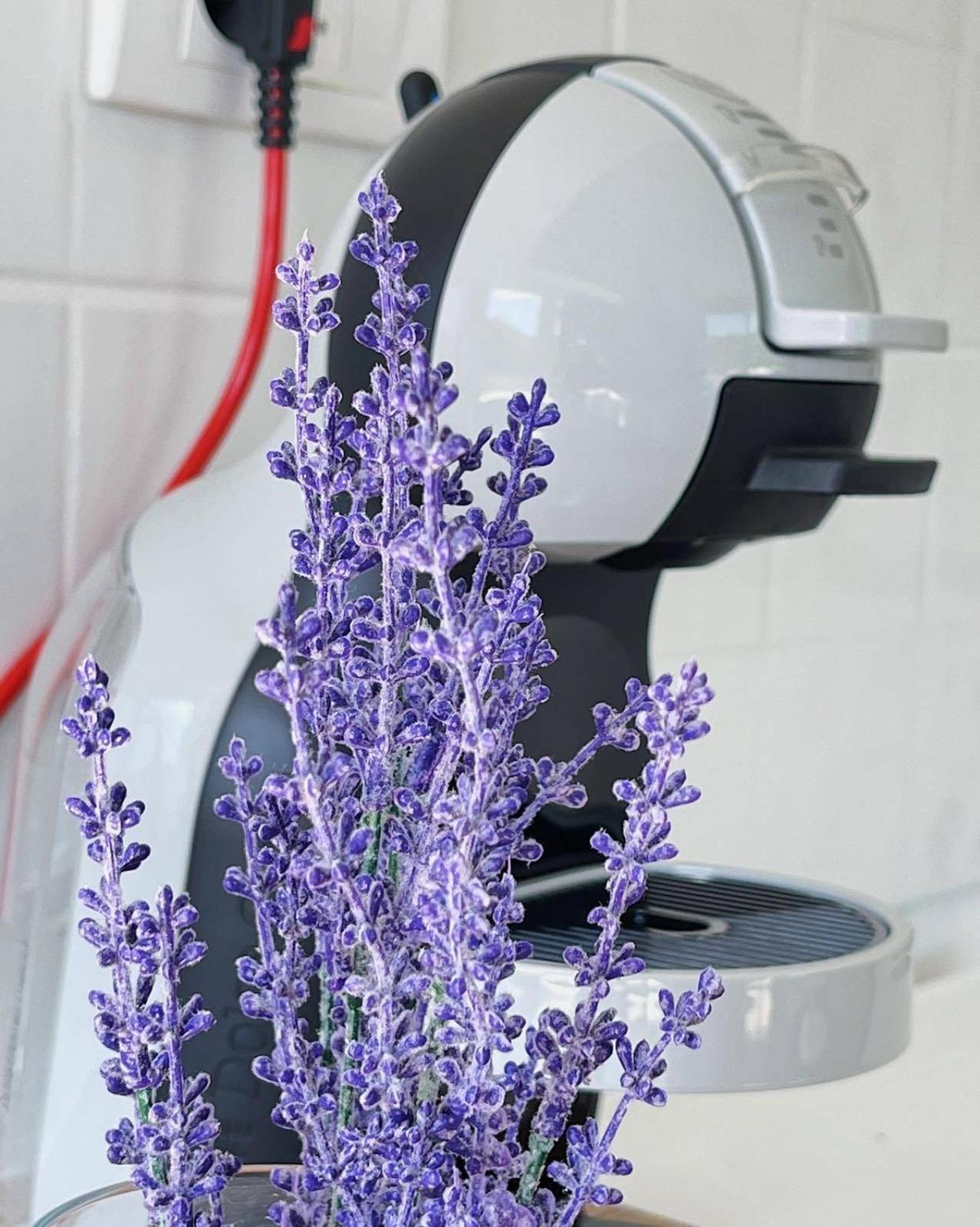 Studio Apartmani Lemon Budva Dış mekan fotoğraf
